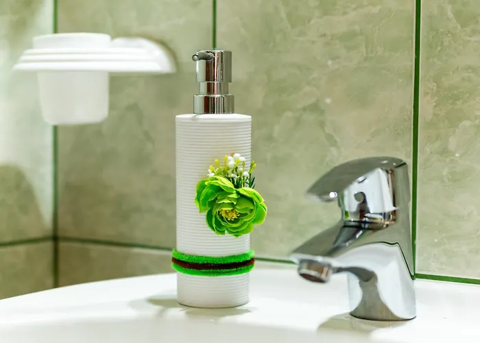 Pensiune Flory De Inchiriat 3*