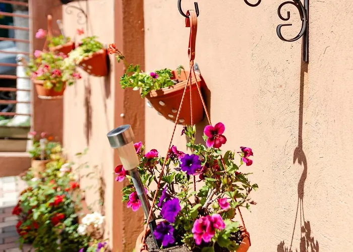 Flory De Inchiriat Eforie Nord