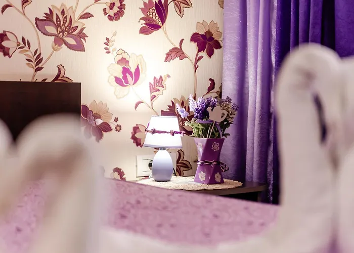 Pensiune Flory De Inchiriat 3*