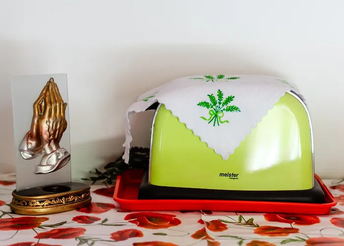 Pensiune Flory De Inchiriat 3*