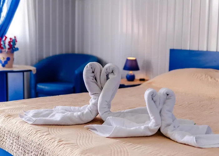 Pensiune Flory De Inchiriat 3*